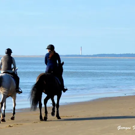 Mobil De Grand Confort-3ch Climatisees-camping Bonne Anse 509- 4 Etoiles La Palmyre