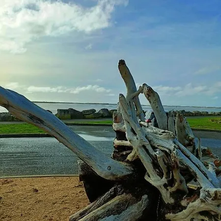 شقة Mobil De Grand Confort-3ch Climatisees-camping Bonne Anse 509- 4 Etoiles La Palmyre *