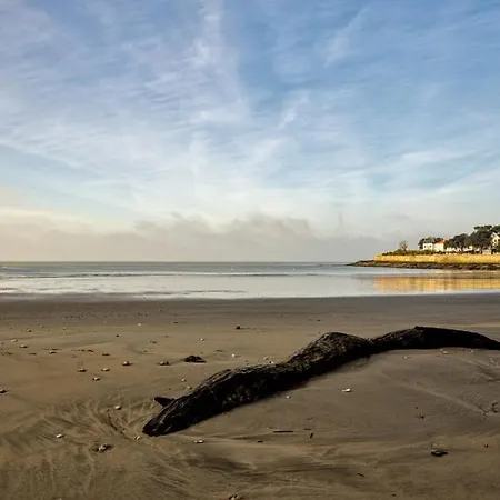 Mobil De Grand Confort-3ch Climatisees-camping Bonne Anse 509- 4 Etoiles La Palmyre * 레 마트