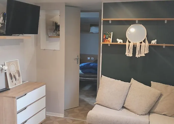 Mobil De Grand Confort-3ch Climatisees-camping Bonne Anse 509- 4 Etoiles La Palmyre * Les Mathes