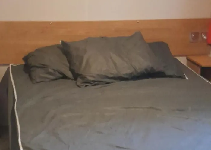 Mobil De Grand Confort-3ch Climatisees-camping Bonne Anse 509- 4 Etoiles La Palmyre