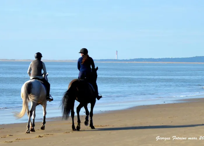 Mobil De Grand Confort-3ch Climatisees-camping Bonne Anse 509- 4 Etoiles La Palmyre