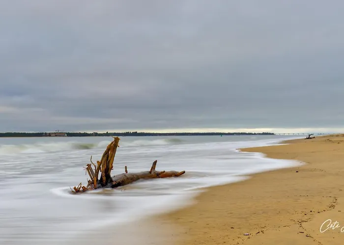 Mobil De Grand Confort-3ch Climatisees-camping Bonne Anse 509- 4 Etoiles La Palmyre