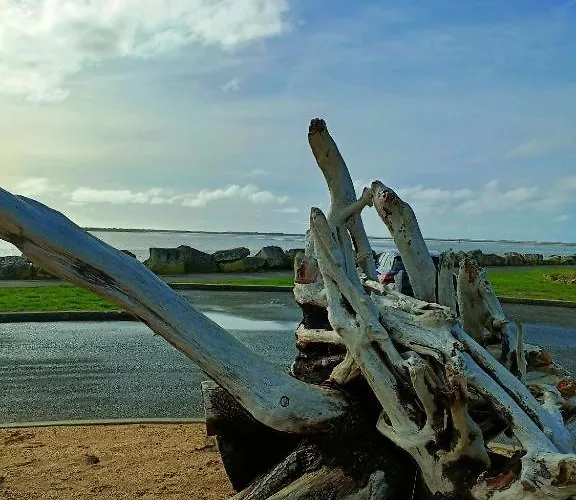 Lejlighed Mobil De Grand Confort-3ch Climatisees-camping Bonne Anse 509- 4 Etoiles La Palmyre *