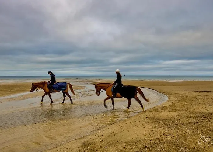 Mobil De Grand Confort-3ch Climatisees-camping Bonne Anse 509- 4 Etoiles La Palmyre *